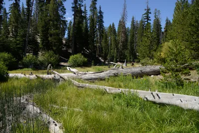 DSC_3581 (Large).JPG